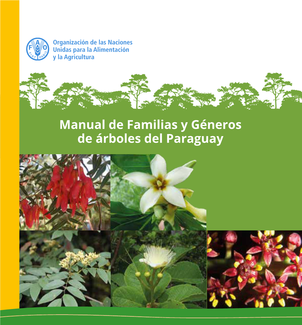 Manual De Familias Y Géneros De Árboles Del Paraguay