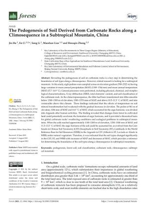 The Pedogenesis of Soil Derived from Carbonate Rocks Along a Climosequence in a Subtropical Mountain, China