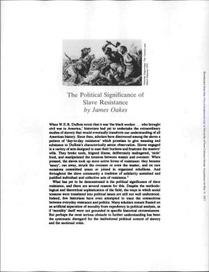 The Political Significance of Slave Resistance by James Oakes