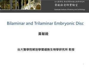 Bilaminar and Trilaminar Embryonic Disc
