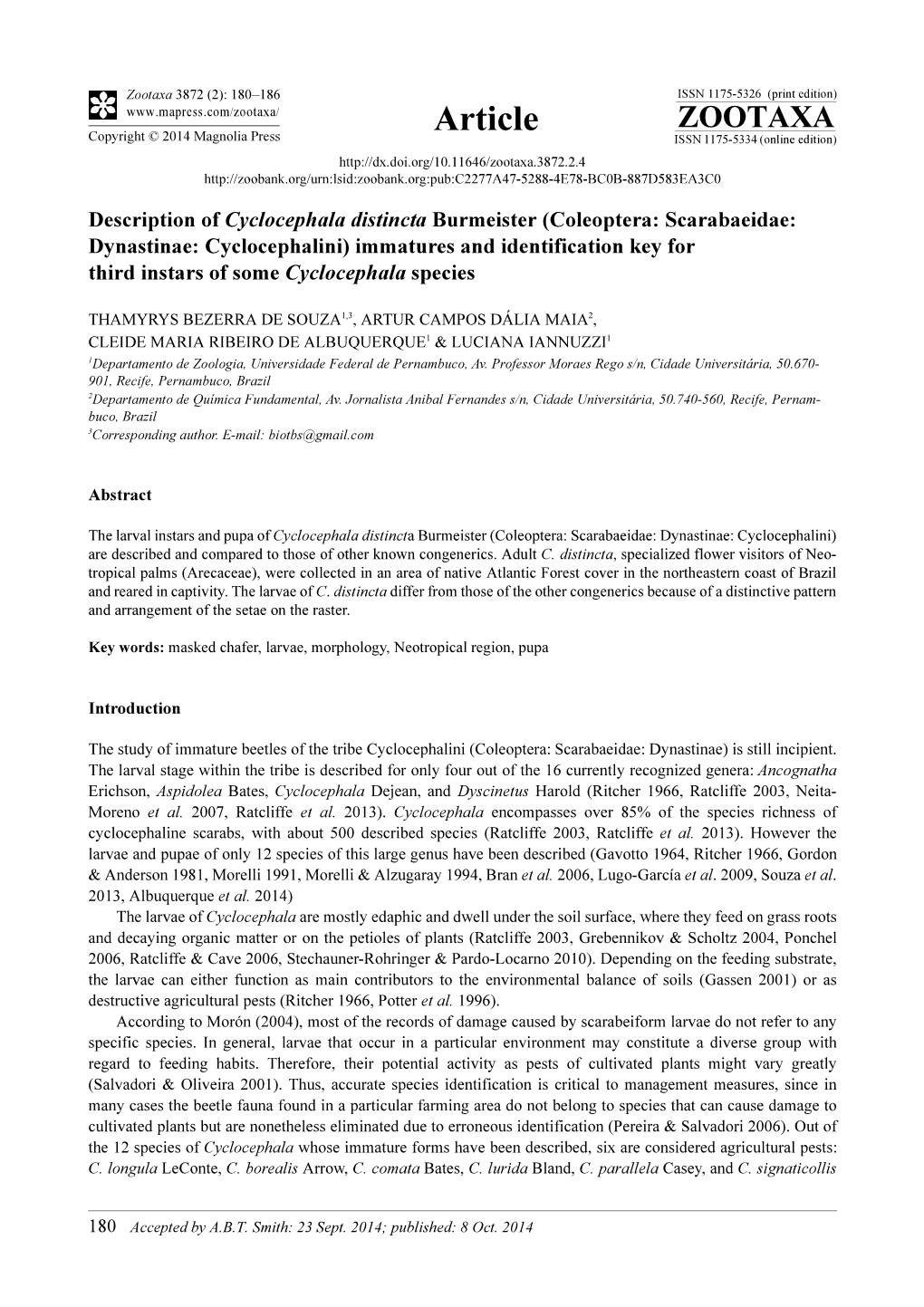 Description of Cyclocephala Distincta Burmeister (Coleoptera