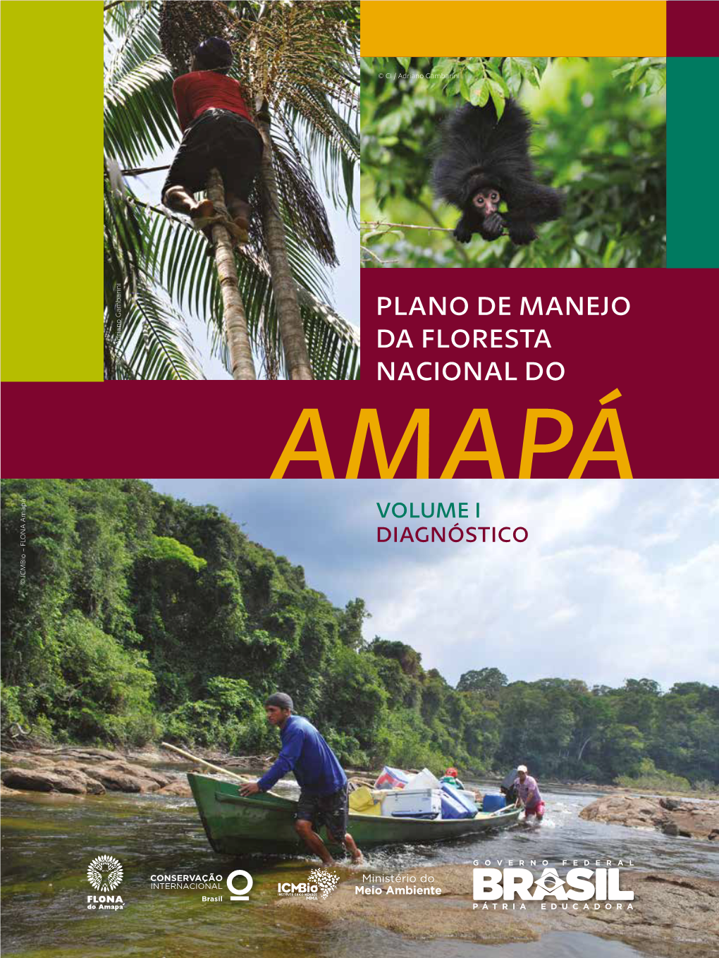Plano De Manejo Da Floresta Nacional Do