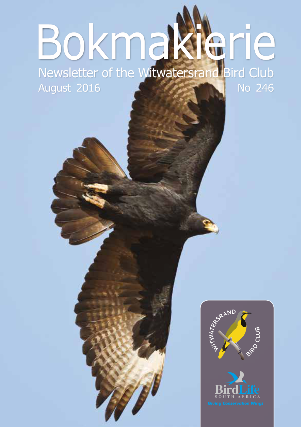 Bokmakierie Newsletter of the Witwatersrand Bird Club August 2016 No 246