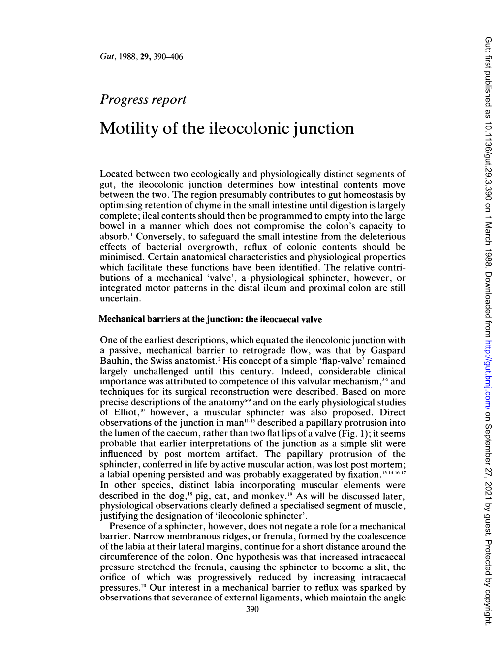 Motility of the Ileocolonic Junction