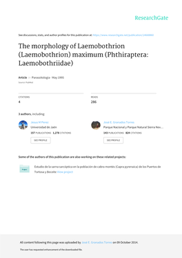 Laemobothrion) Maximum (Phthiraptera: Laemobothriidae