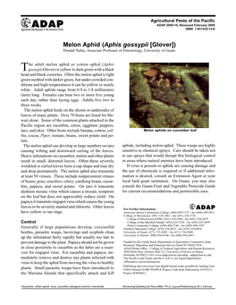 Melon Aphid (Aphis Gossypii [Glover]) Donald Nafus, Associate Professor of Entomology, University of Guam