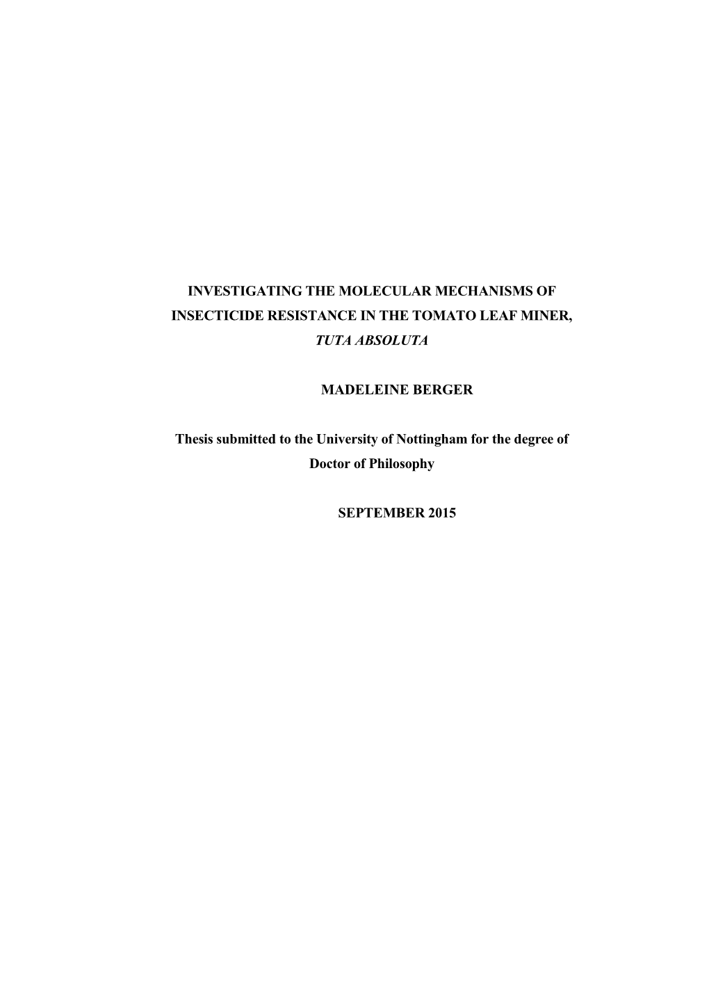 Mberger Phd Thesis.Pdf