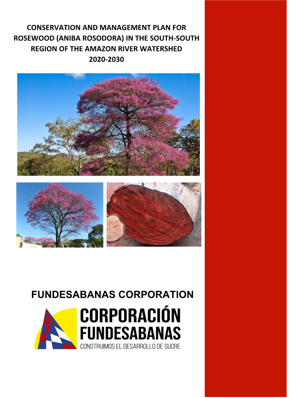Conservation-And-Management-Plan-For-Rosewood-Aniba-Rosodora