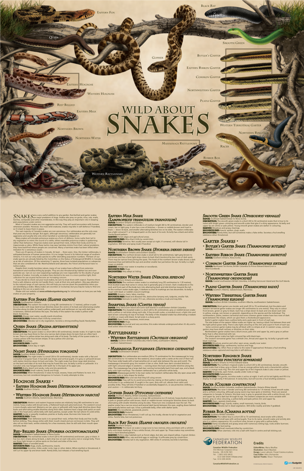 Wild About Snakes Poster