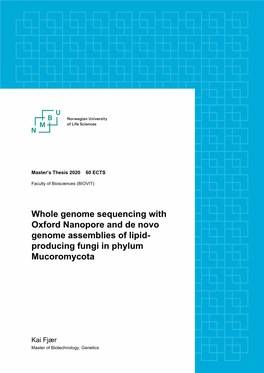 Producing Fungi in Phylum Mucoromycota