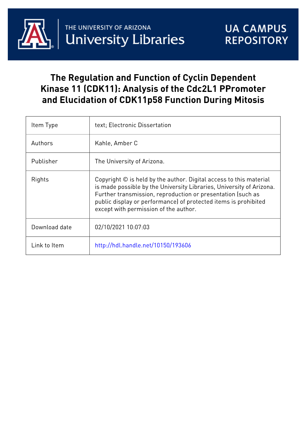 Analysis of the Cdc2l1 Promoter and Elucidation of Cdk11p58 Function During Mitosis