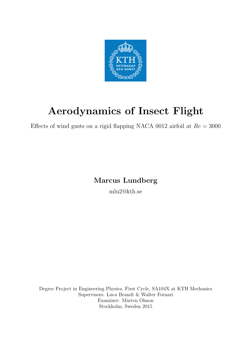 Aerodynamics of Insect Flight