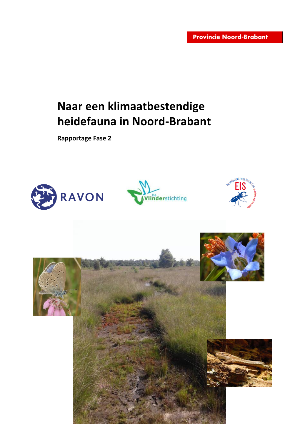 Naar Een Klimaatbestendige Heidefauna in Noord-Brabant Rapportage Fase 2 Naar Een Klimaatbestendige Heidefauna in Noord-Brabant – Rapportage Fase 2