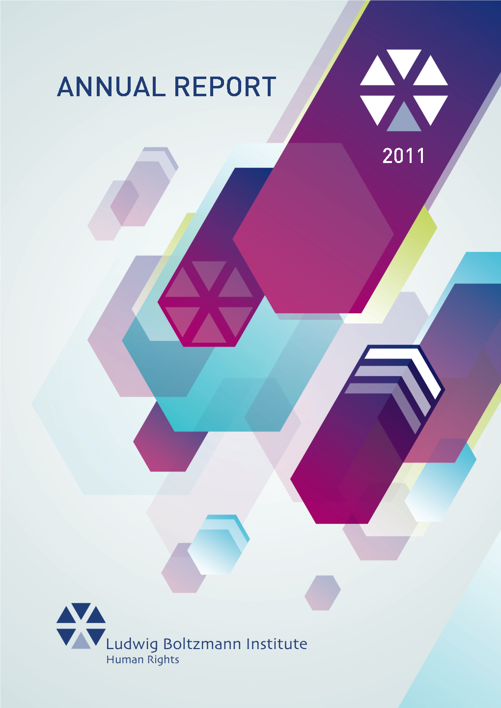 2011 BIM Annual Report.Pdf