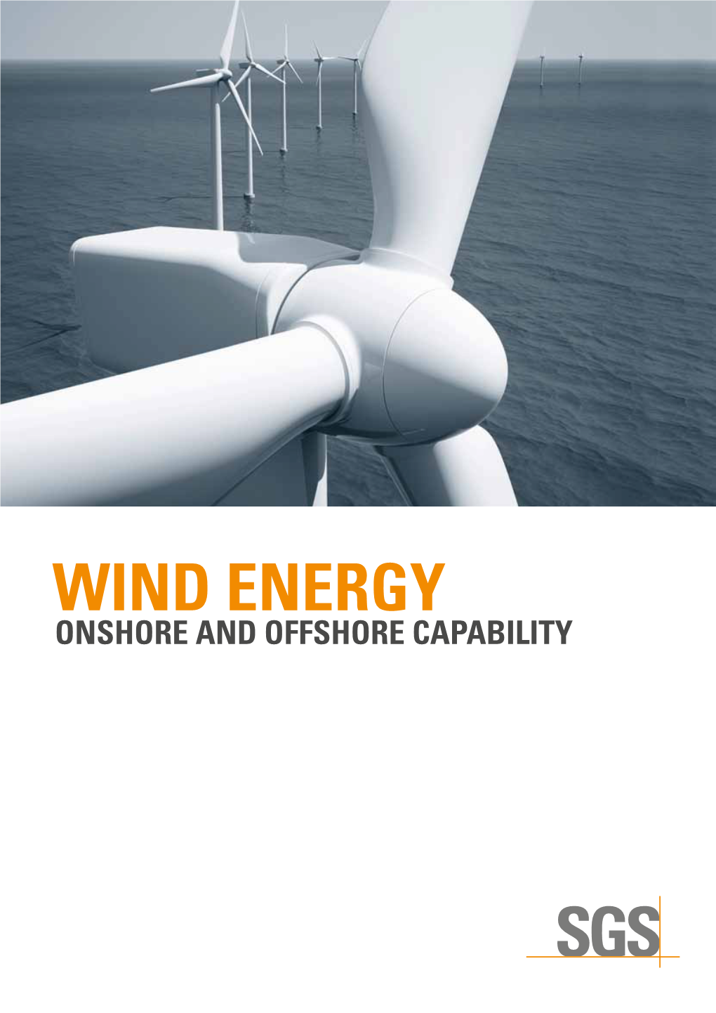 Wind Energy: Onshore and Offshore Capability