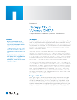 Netapp Cloud Volumes ONTAP Simple and Fast Data Management in the Cloud