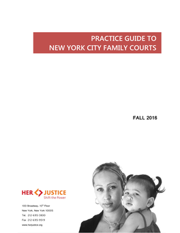 Practice Guide to New York City Family Courts