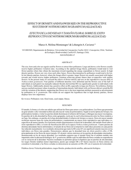 Effect of Density and Flower Size on the Reproductive Success of Nothoscordum Graminum (Alliaceae)