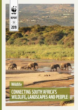 Connecting South Africa's Wildlife, Landscapes
