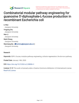 Diphosphate-L-Fucose Production in Recombinant Escherichia Coli