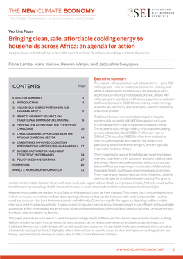 Bringing Clean, Safe, Affordable Cooking Energy to Households Across Africa: an Agenda for Action