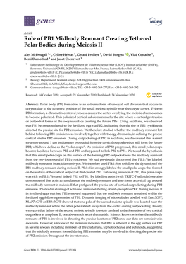 Role of PB1 Midbody Remnant Creating Tethered Polar Bodies During Meiosis II