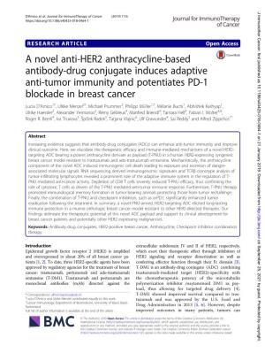 A Novel Anti-HER2 Anthracycline-Based Antibody-Drug