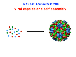 Viral Capsids and Self Assembly Viral Capsids
