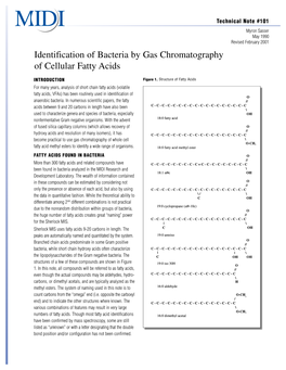 Identification of Bacteria by Gas Chromatography of Cellular Fatty Acids