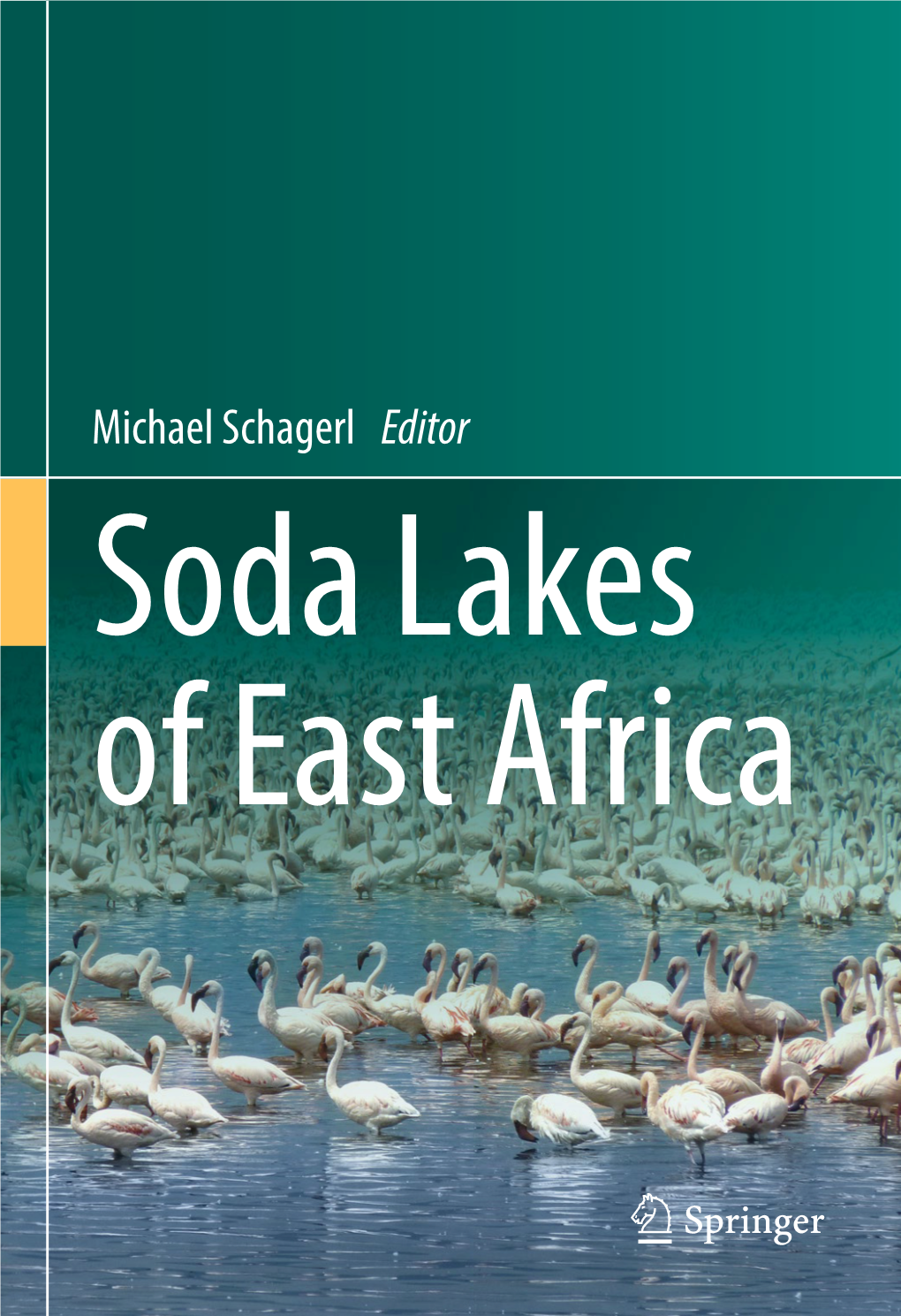 Michael Schagerl Editor Soda Lakes of East Africa Soda Lakes of East Africa