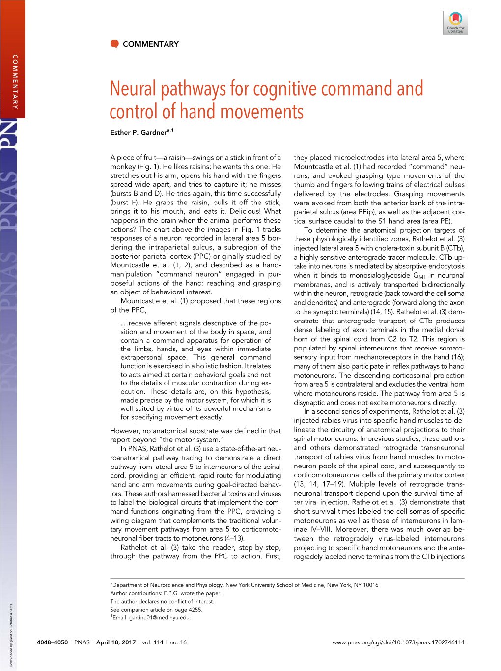 Neural Pathways for Cognitive Command and Control of Hand Movements Esther P