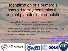 Identification of a Primordial Asteroid Family Constrains the Original