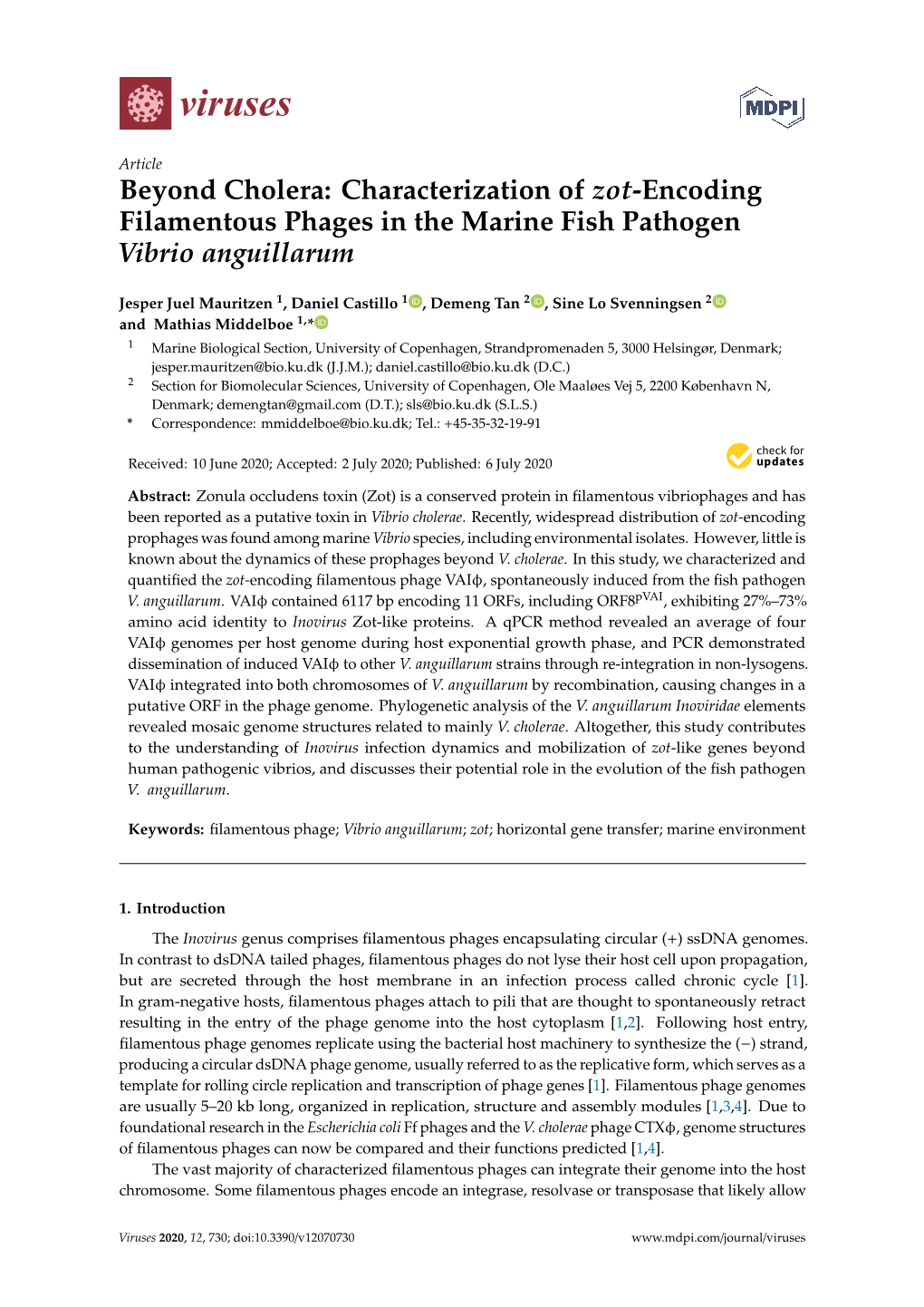 Beyond Cholera: Characterization of Zot-Encoding Filamentous Phages in the Marine Fish Pathogen Vibrio Anguillarum