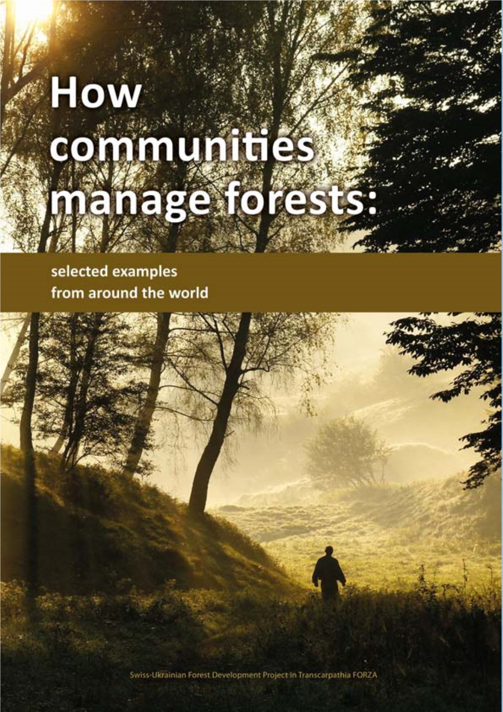 Municipalities Take Action in Forest Management