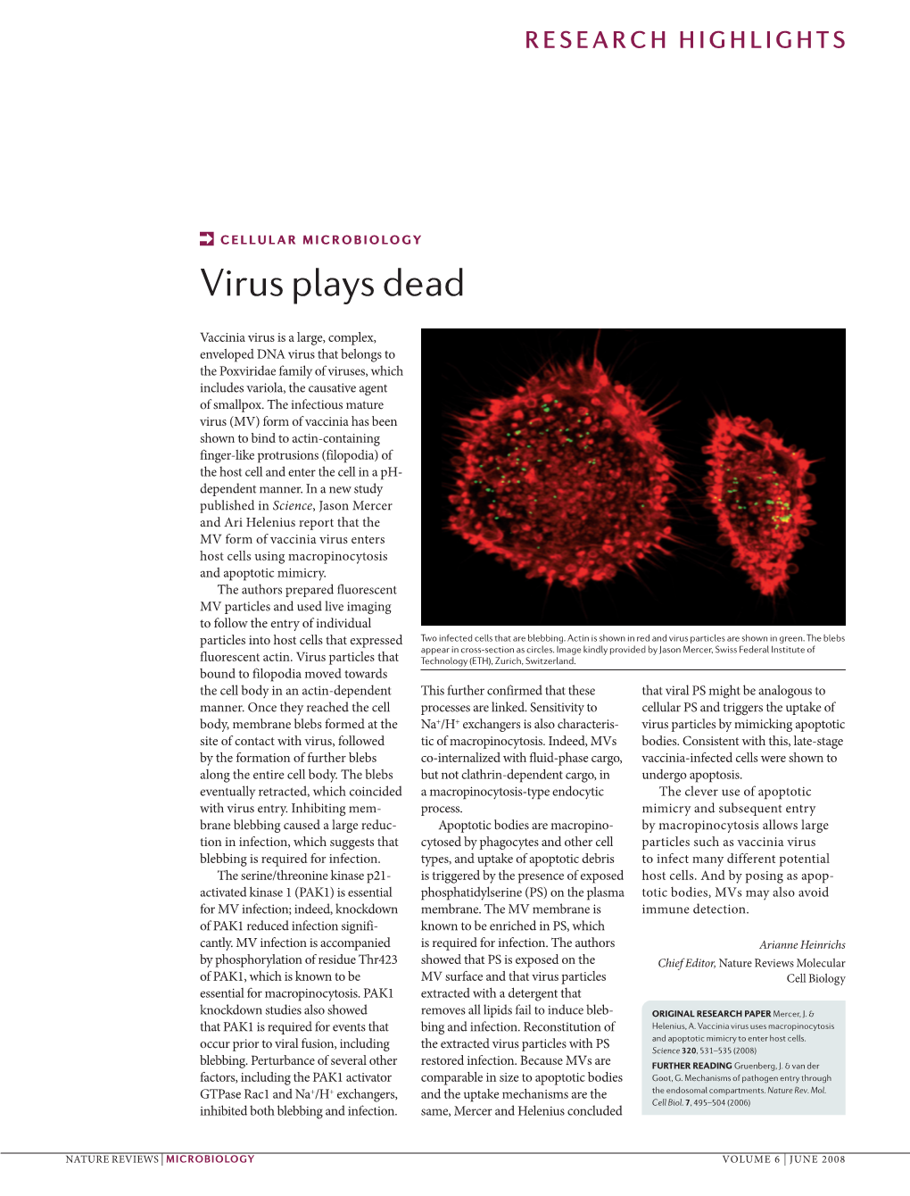 Virus Plays Dead