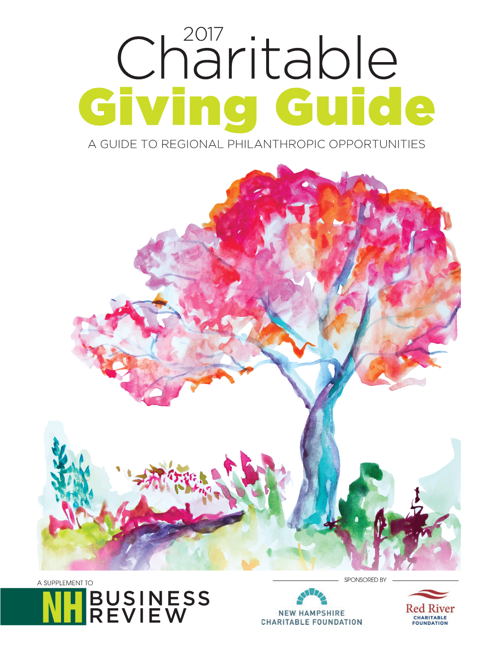 The Charitable Giving Guide