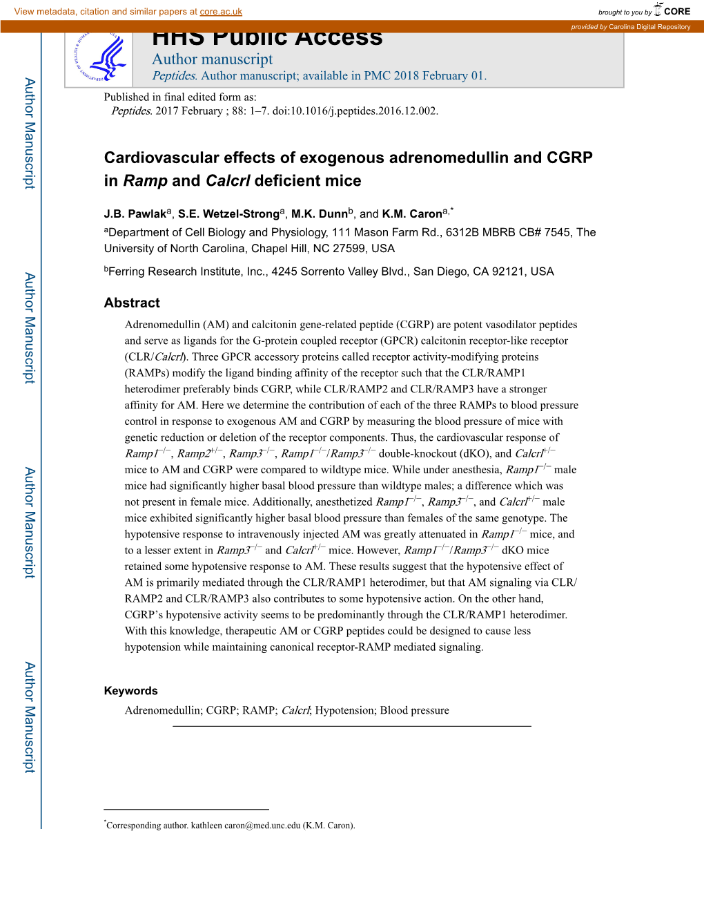 Cardiovascular Effects of Exogenous Adrenomedullin and CGRP in Ramp and Calcrl Deficient Mice