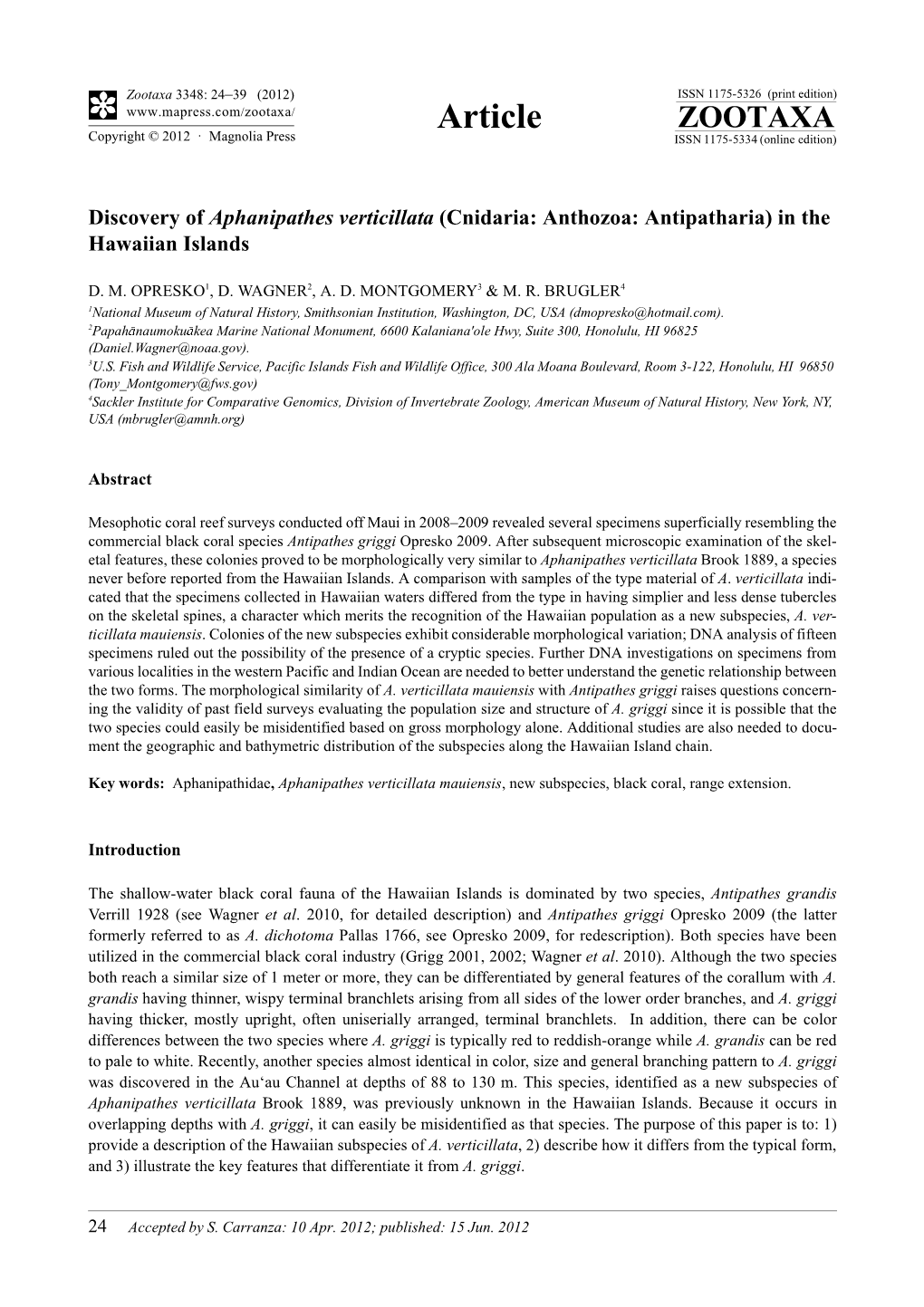 Discovery of Aphanipathes Verticillata (Cnidaria: Anthozoa: Antipatharia) in the Hawaiian Islands