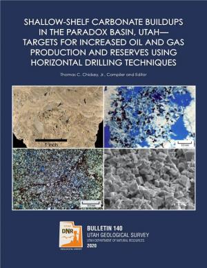 Shallow-Shelf Carbonate Buildups in the Paradox Basin, Utah— Targets for Increased Oil and Gas Production and Reserves Using Horizontal Drilling Techniques