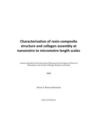 Characterisation of Resin-Composite Structure and Collagen Assembly at Nanometre to Micrometre Length Scales