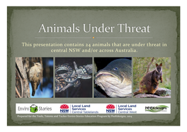 Animals Under Threat