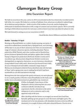 Glamorgan Botany Group 2014 Excursion Report