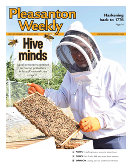 Hive Minds: Local Beekeepers Continue To
