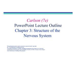 Chapter 3: Structure of the Nervous System
