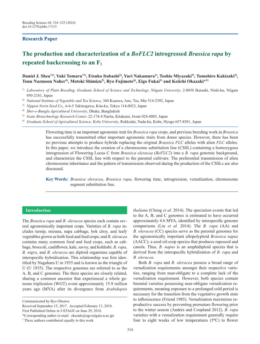 The Production and Characterization of a Boflc2 Introgressed Brassica Rapa by Repeated Backcrossing to an F1