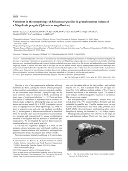 Variations in the Morphology of Rhizomucor Pusillus in Granulomatous Lesions of a Magellanic Penguin (Spheniscus Magellanicus)