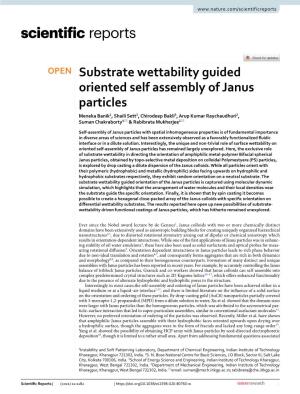 Substrate Wettability Guided Oriented Self Assembly of Janus Particles