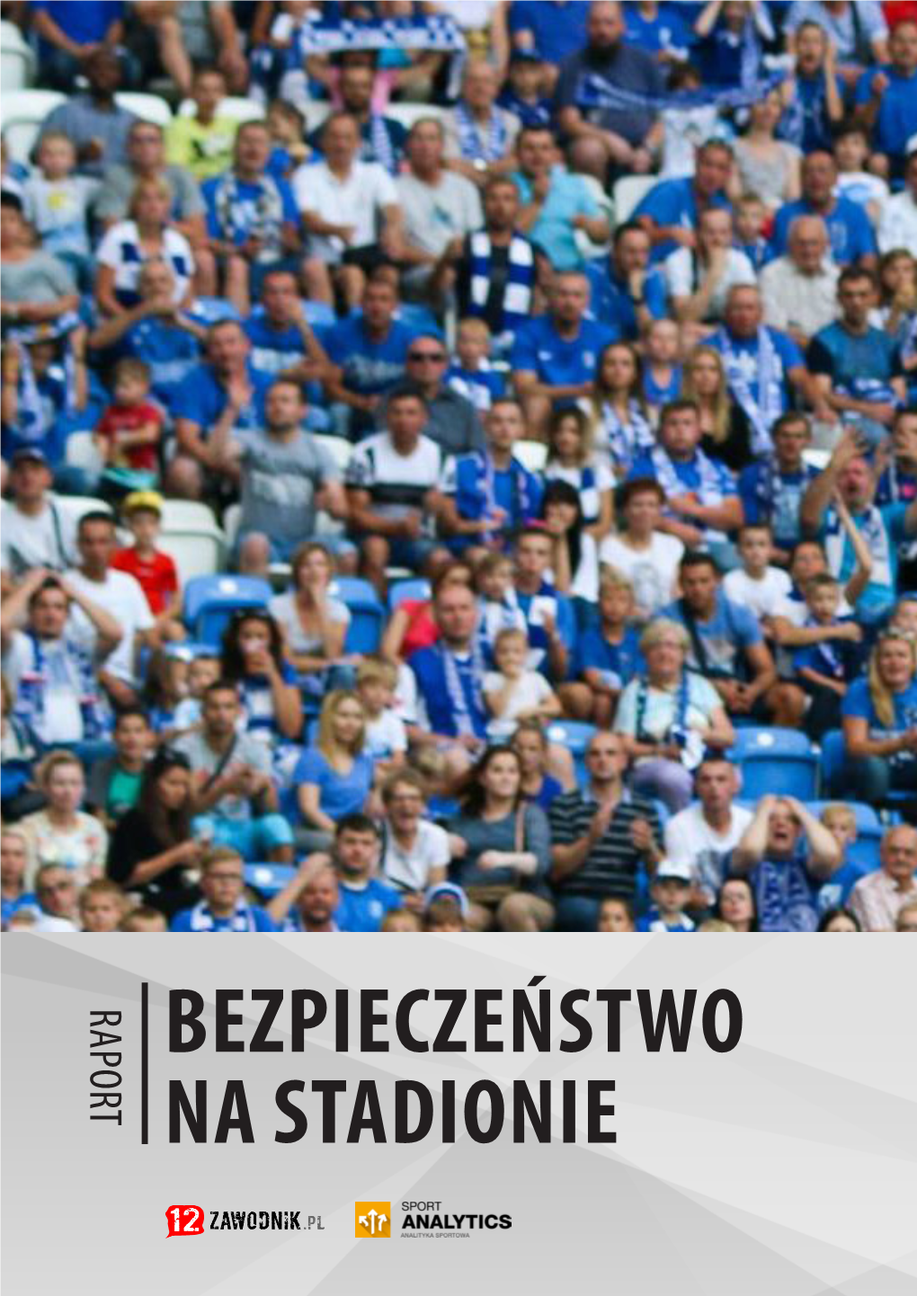 BEZPIECZEŃSTWO NA STADIONIE Kluby, Których Kibice Wzięli Udział W Badaniu