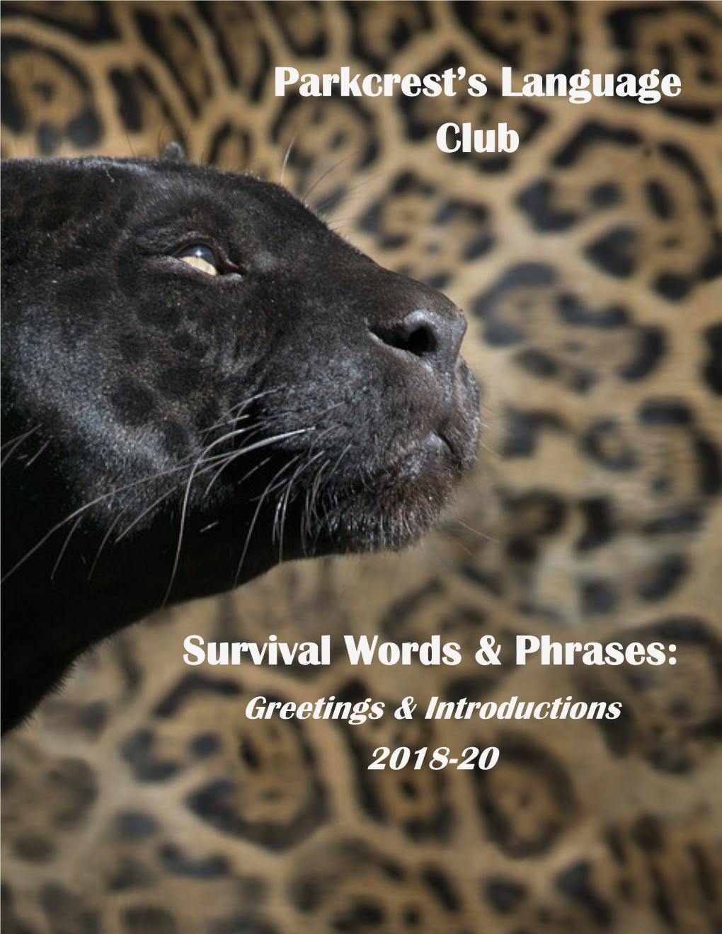 Parkcrest's Language Club Survival Words & Phrases