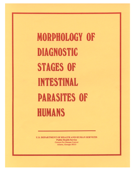 Morphology of Diagnostic Stages of Intestinal Parasites of Humans*